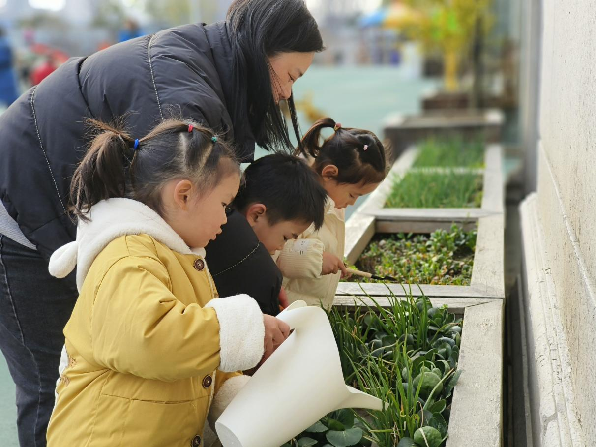 春芽幼兒園 陳榮《孕育成長(zhǎng)》.png